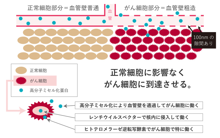 がん細胞に有効的に到達させる努力